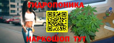 метадон Гусь-Хрустальный