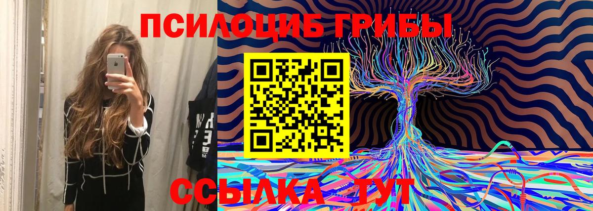 Псилоцибиновые грибы Cubensis Ирбит