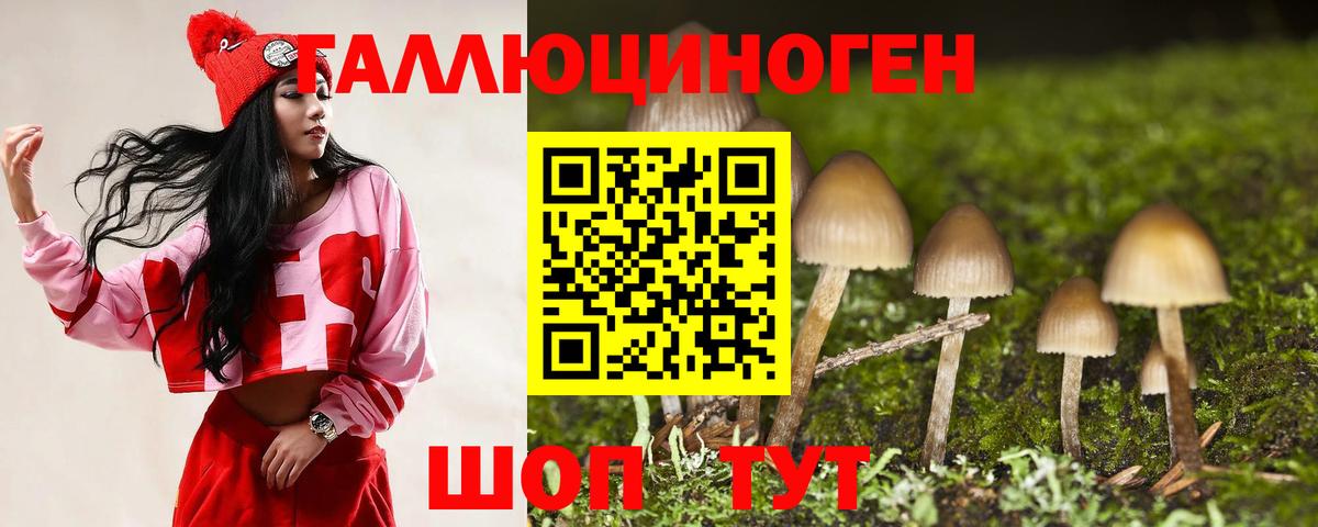 Галлюциногенные грибы мицелий  Вход с VPN  Ирбит  Псилоцибиновые грибы GOLDEN TEACHER 